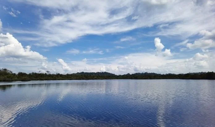 罗干布努湿地观景 图片 1