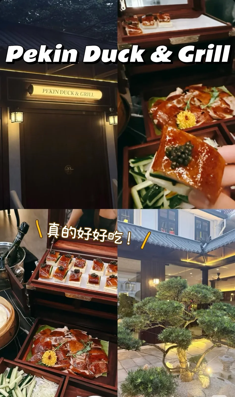 在吉隆坡 竟然有那么好吃的北京烤鸭 图片 5