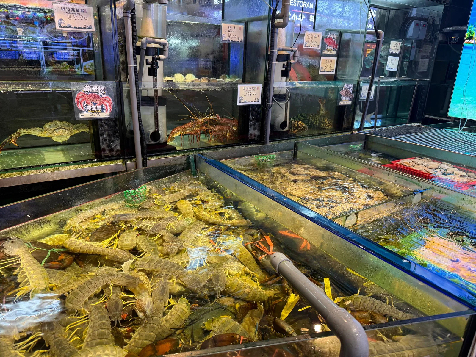 蒸时代海鲜蒸汽火锅 图片 6