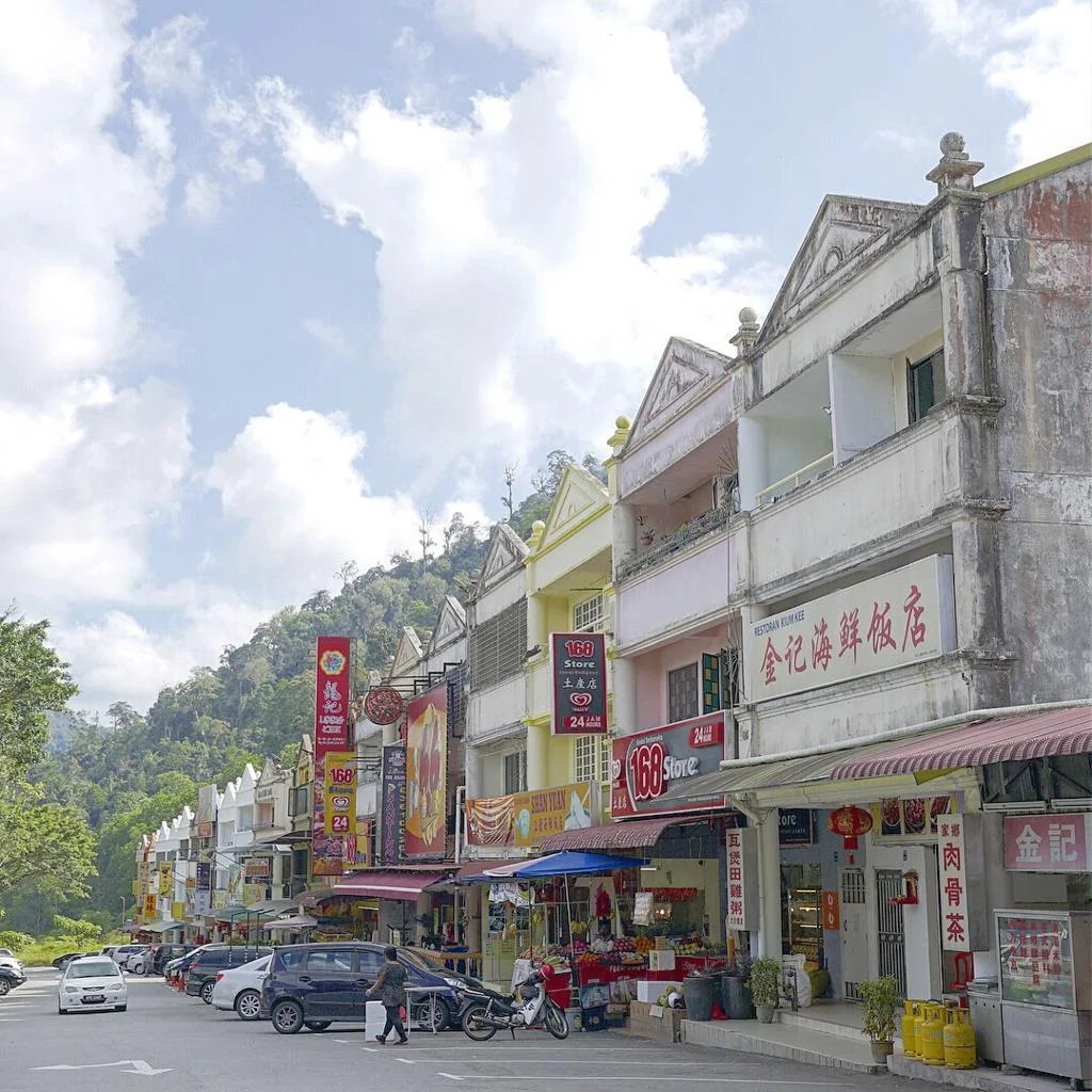 梧桐再也半山漫游 图片 5