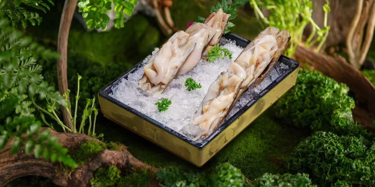 开壳鲜竹蛏 Fresh Razor Clams (Opened Shell)