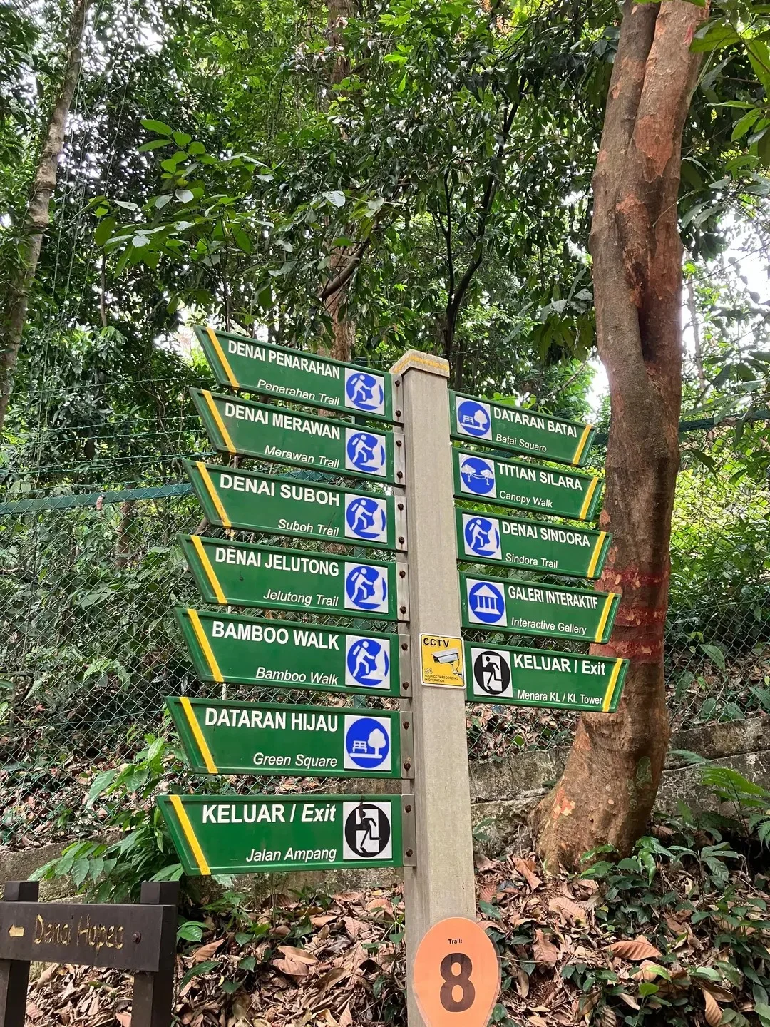 吉隆坡生态森林公园 KL Forest Eco Park 图片 6