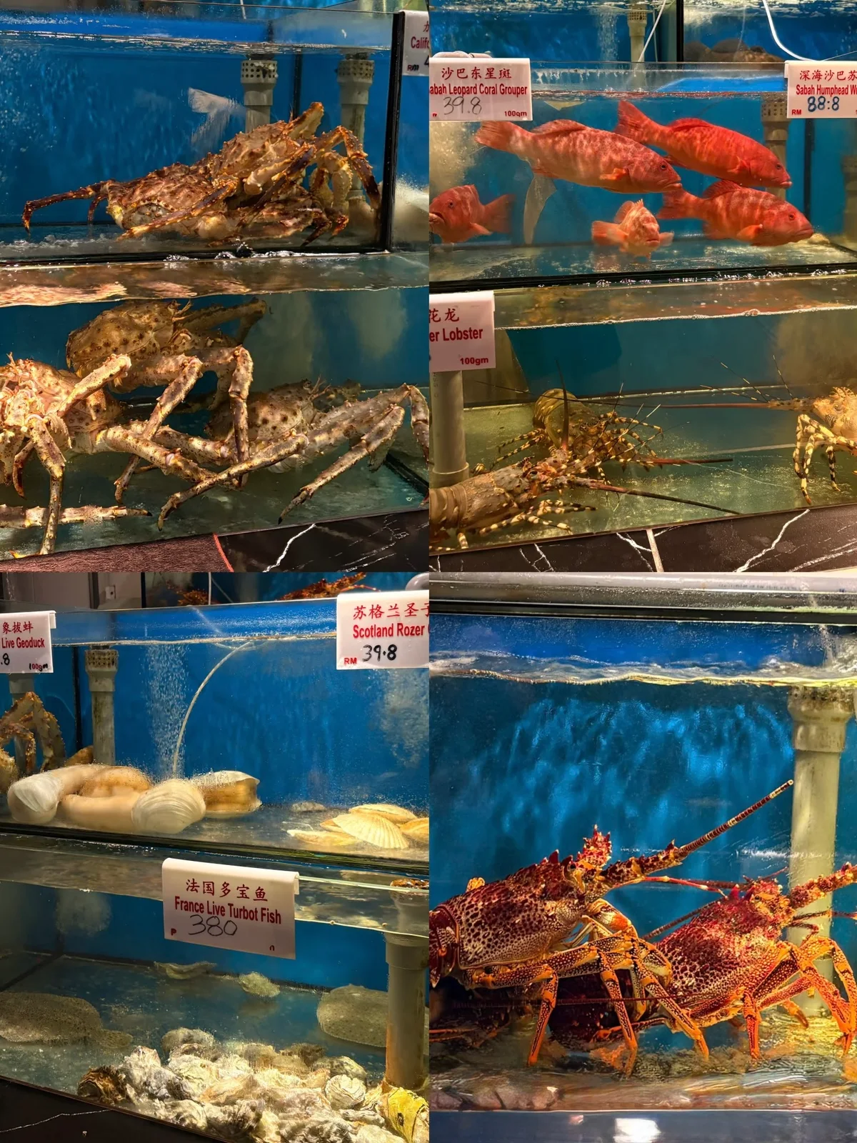 东潮苑 图片 6