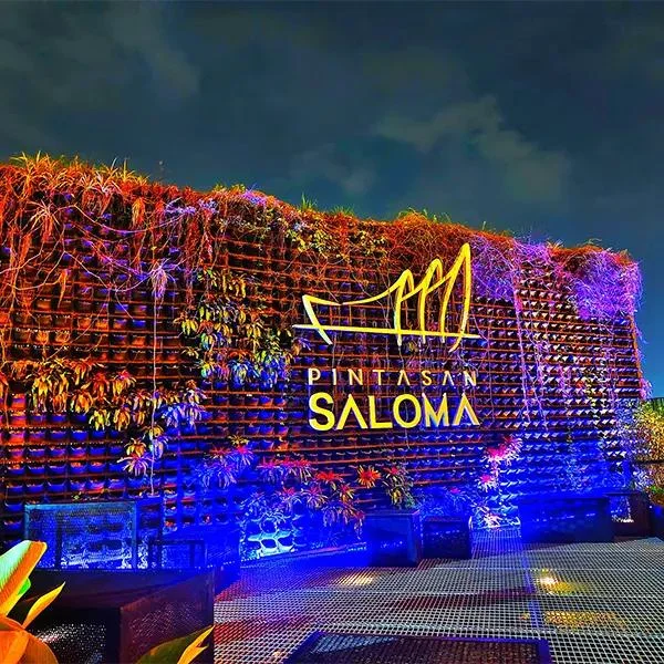 Saloma天桥夜景攻略 图片 8