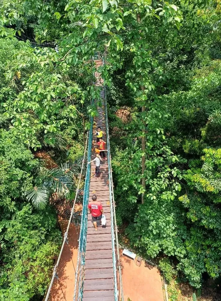 吉隆坡生态森林公园 KL Forest Eco Park 图片 4