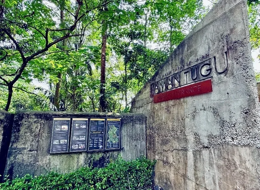 吉隆坡市中心的原始森林！Taman Tugu徒步 图片 2