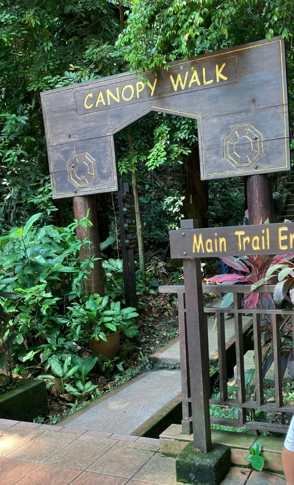 吉隆坡生态森林公园 KL Forest Eco Park 图片 3