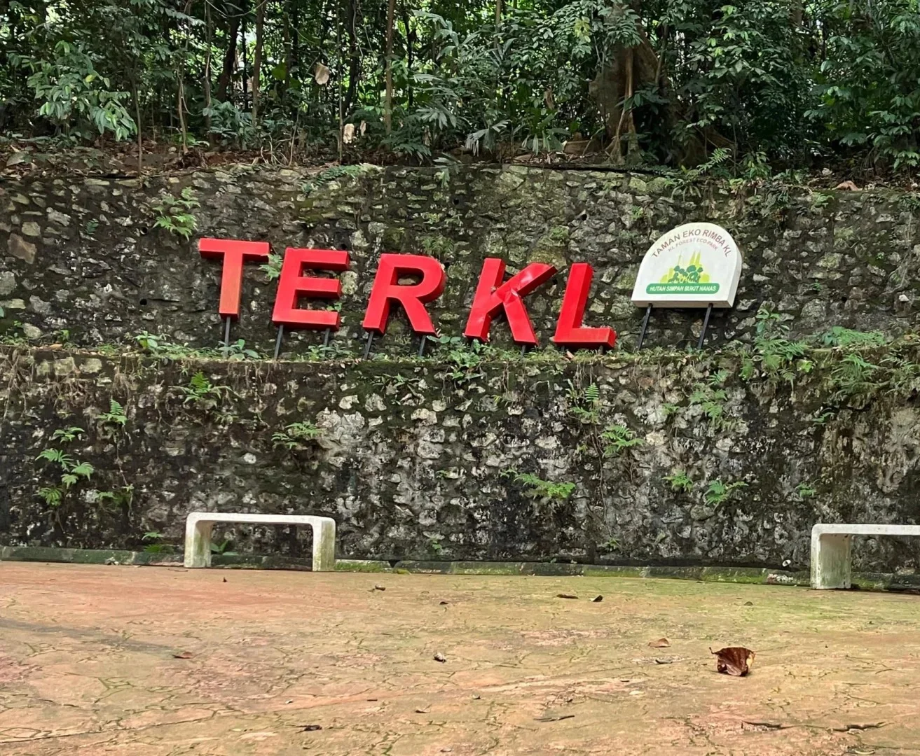 吉隆坡生态森林公园 KL Forest Eco Park 图片 7