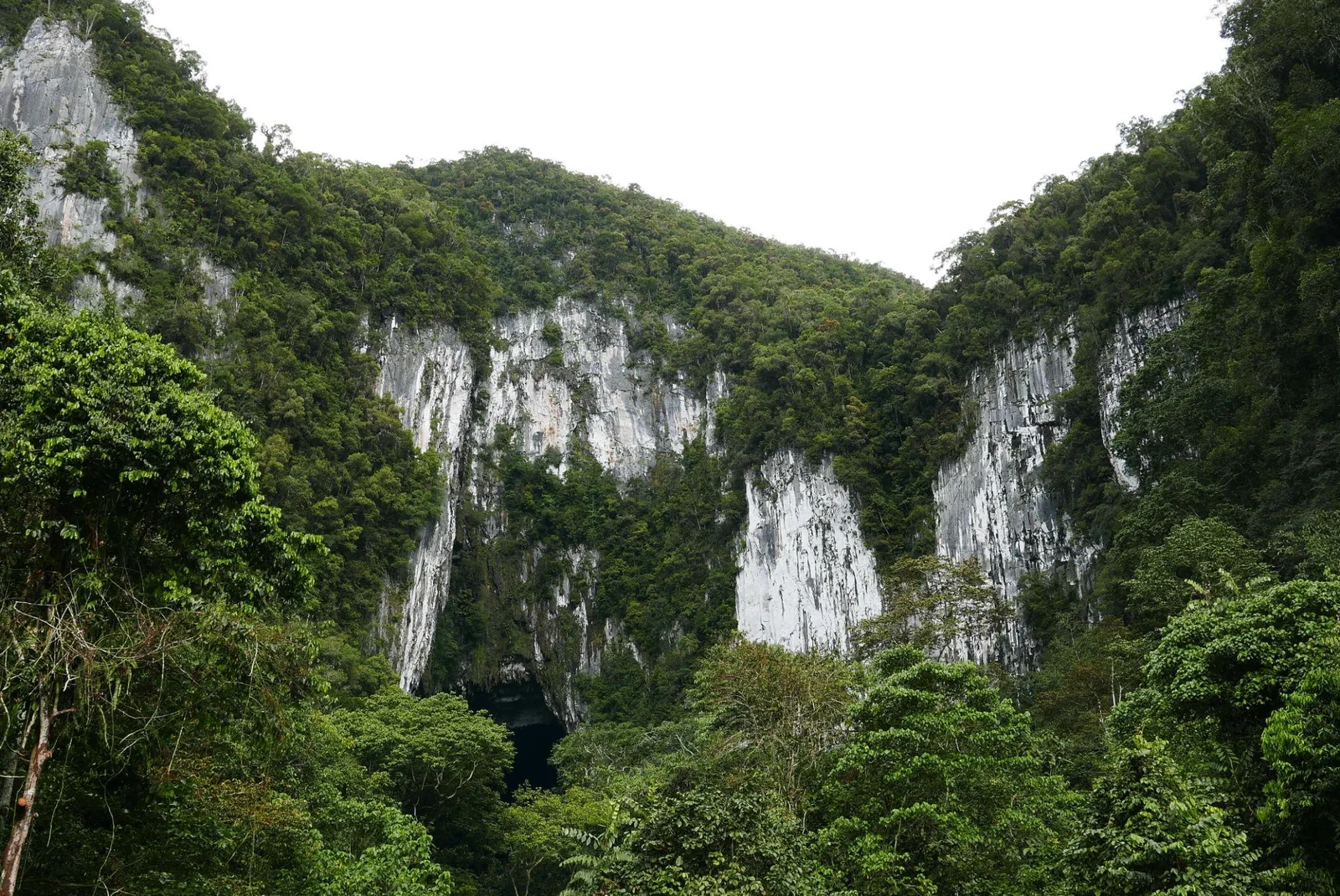 姆鲁雨林洞穴行程攻略 图片 4
