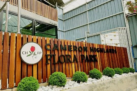 金马仑花卉公园攻略 图片 17