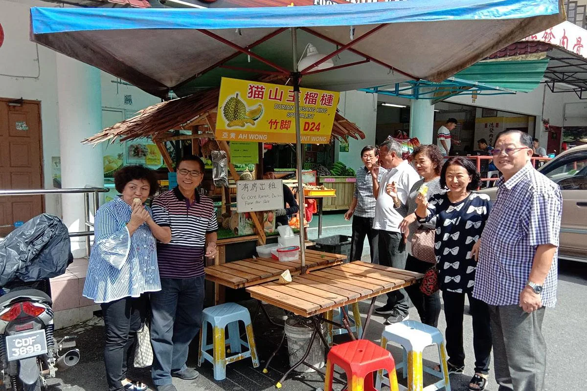 梧桐再也半山漫游 图片 10