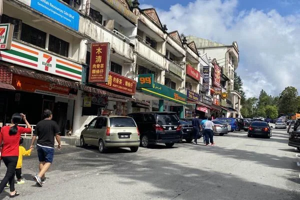 梧桐再也半山漫游 图片 18