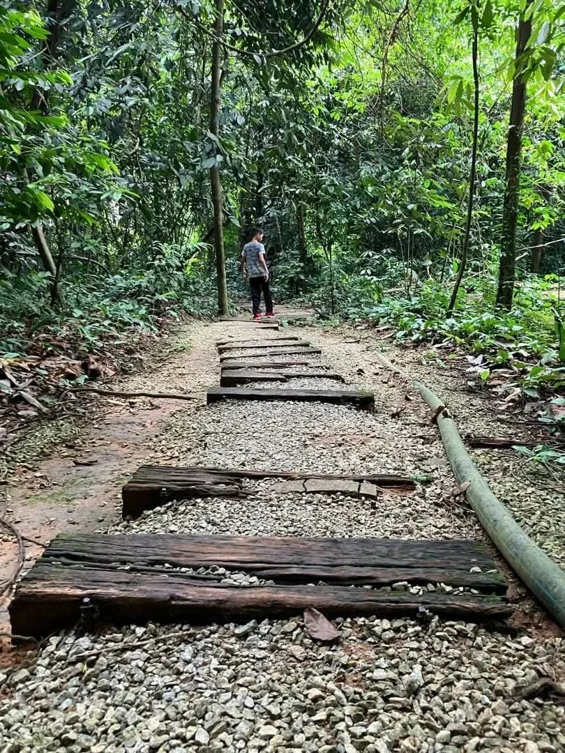 吉隆坡生态森林公园 KL Forest Eco Park 图片 8
